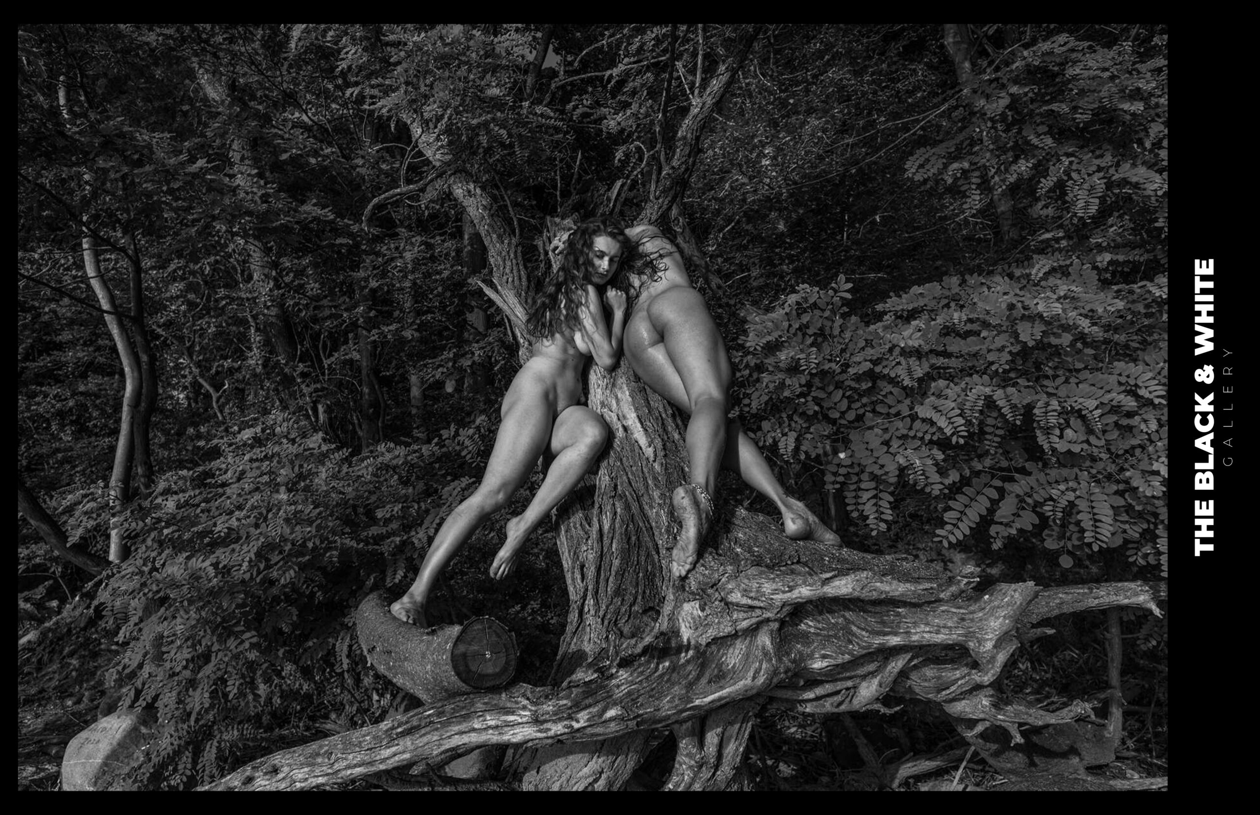 TWIN FLAME
