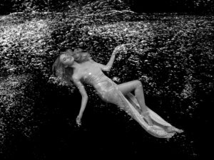 SIREN 6